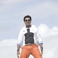 STR - Exclusive : Simbu in osthi movie - Stills | Picture 103103